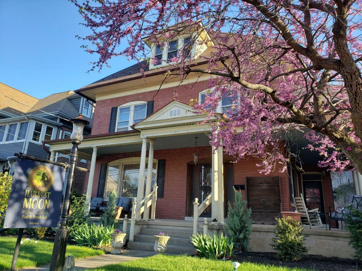 Bed & Breakfast Harvest Moon